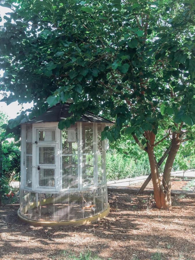 Agrilia Maison Razáta エクステリア 写真